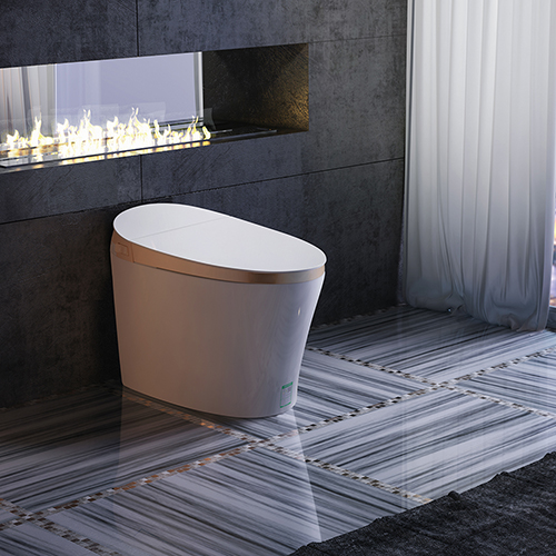 一篇看懂智能馬桶怎么選！5款馬桶對比測評~