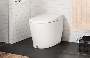 「摩力盾」黑科技，緩解如廁的種種尷尬