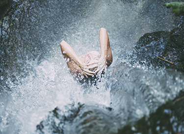 Banner collage large image