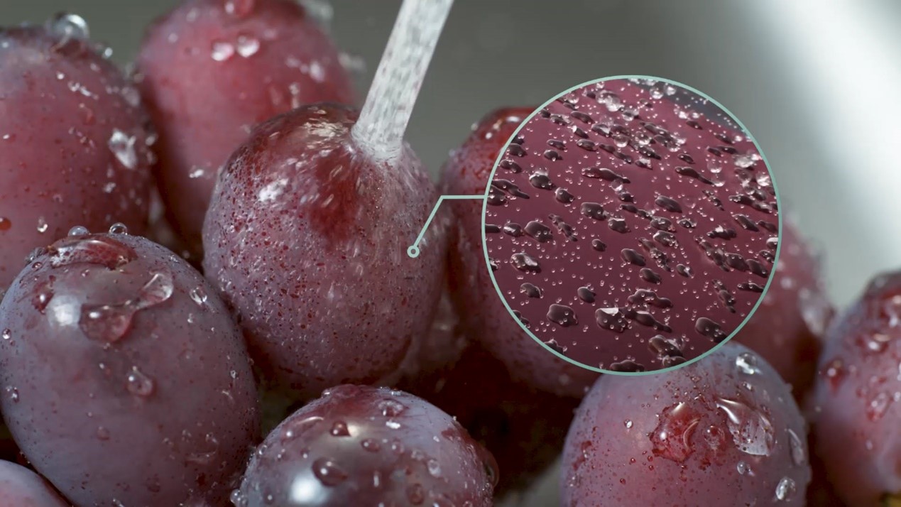 Banner collage large image